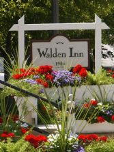 walden flowers.jpg