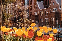apartments.jpg