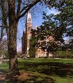 east college with trees.jpg