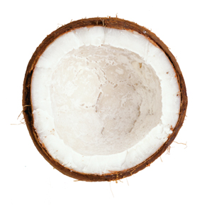 Coconut3.jpg