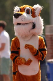 Tiger Mascot Clap.jpg