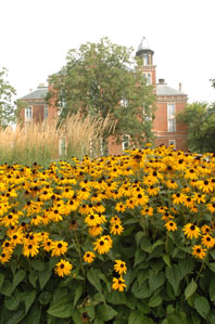 East College Flowers.jpg