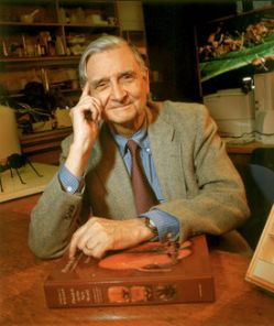 Edward O Wilson.jpg