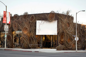 Patrick Dougherty 1.jpg