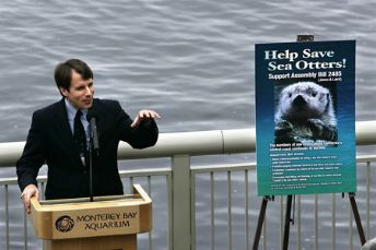 Dave Jones Sea Otters.jpg