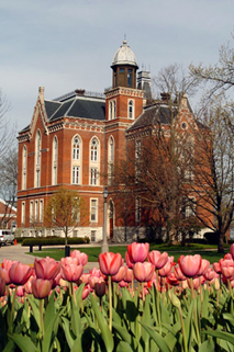 East College 07 Tulips.jpg