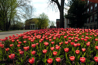 Spring 2007 Campus.jpg