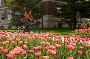 Student Bike Spring 2007.jpg