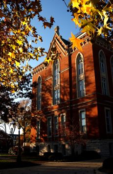 Great Fall EC Shot Gold Leaves.jpg