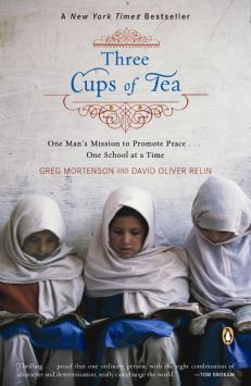 ThreeCupsofTea PromotePeacebookcover2007.JPG