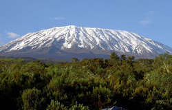 cfac_kilimanjaro.jpg