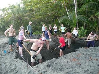 costarica_wtis_digging.jpg