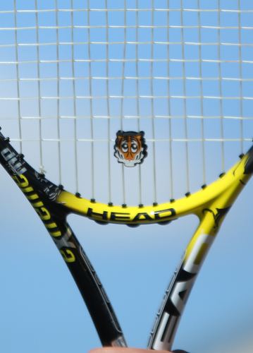 Wittwer's racket