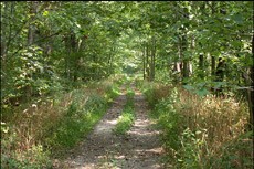 Master Plan for DePauw Nature Park Unveiled - DePauw University