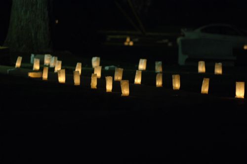 D2X_2715.JPG