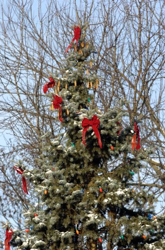 DSC_2942.JPG