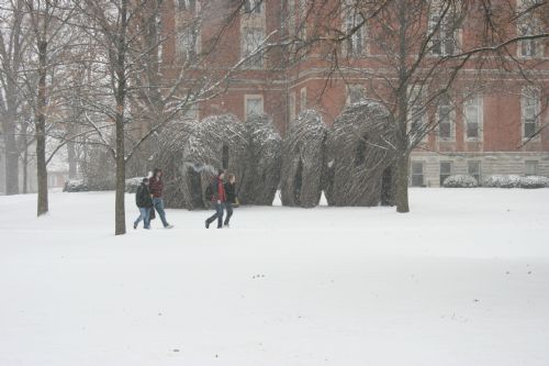 IMG_5288.JPG