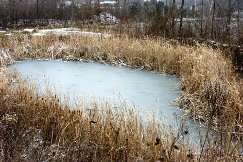 _MG_4345.jpg