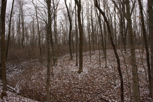 _MG_4357.jpg