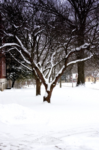 _MG_4538.jpg