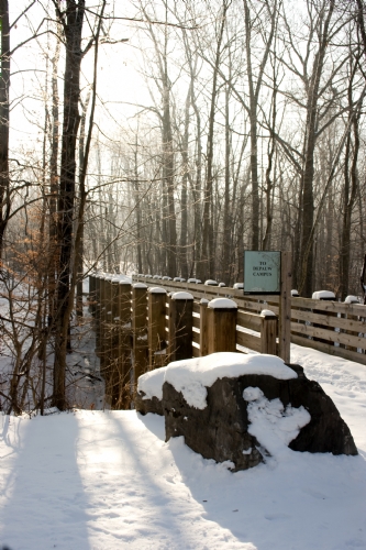 _MG_5216.jpg