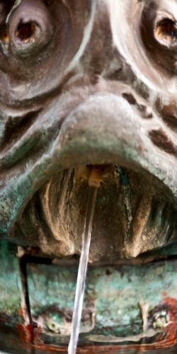 LGL_5201.jpg