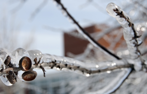 16_150313F.JPG